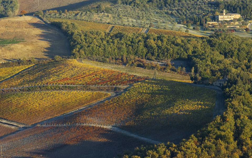 Castello di Radda