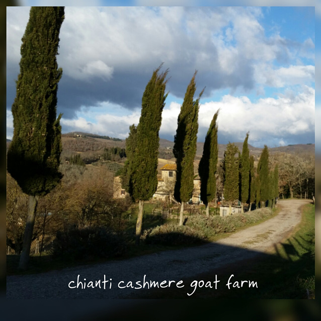 Chianti Cashmere