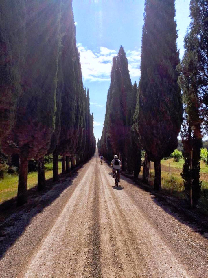 chianti live