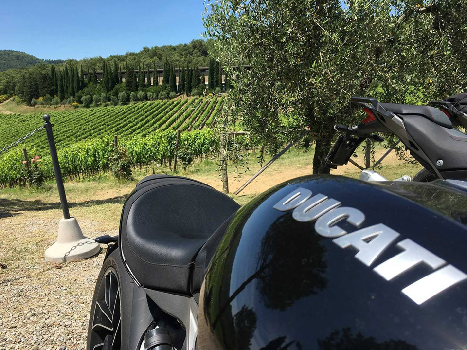 chianti live