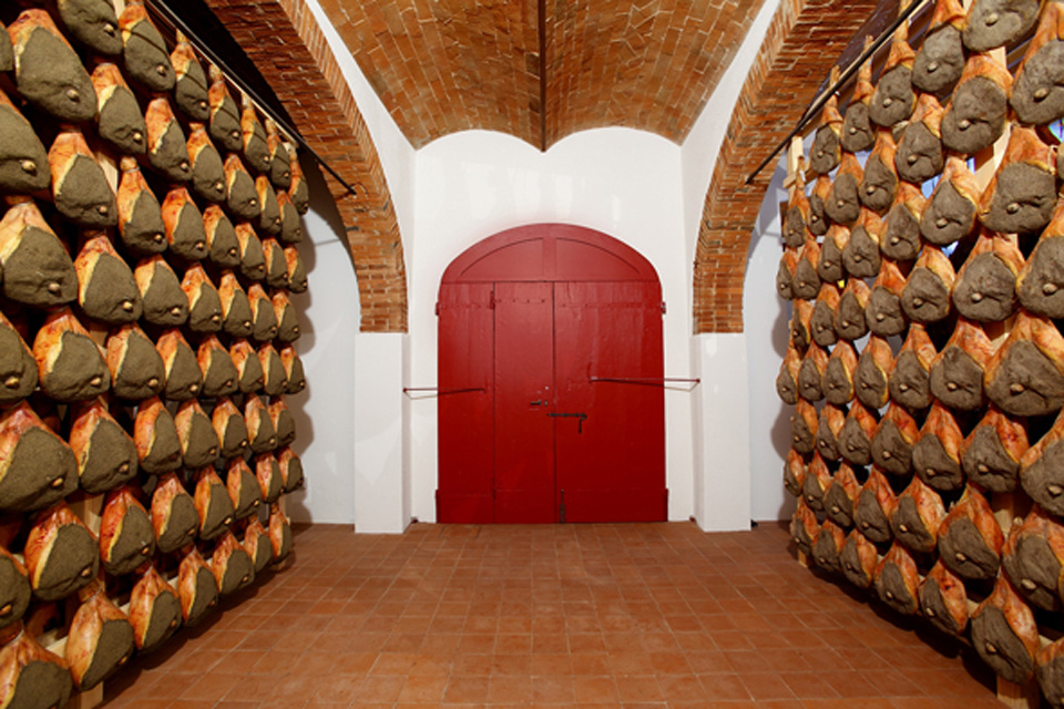 Cipressi in Chianti