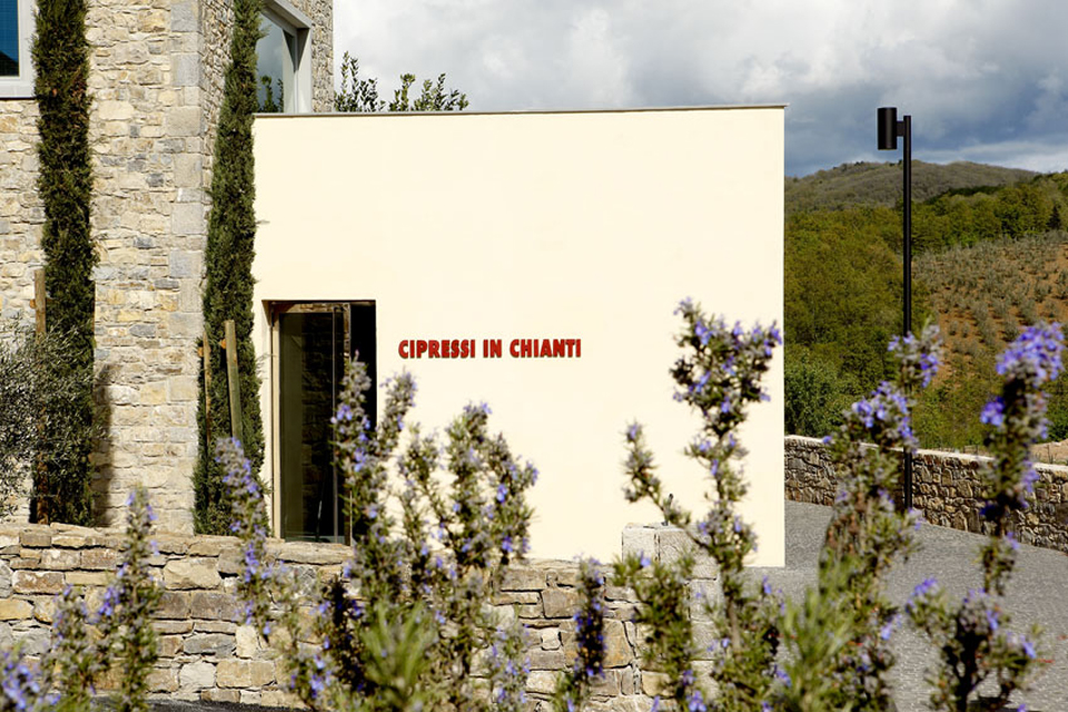 Cipressi in Chianti