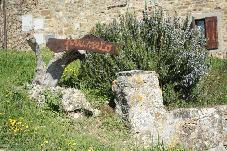 Podere Pruneto