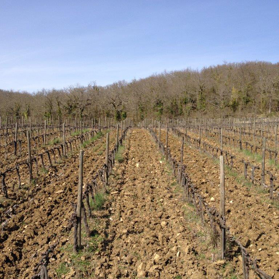 Podere Pruneto