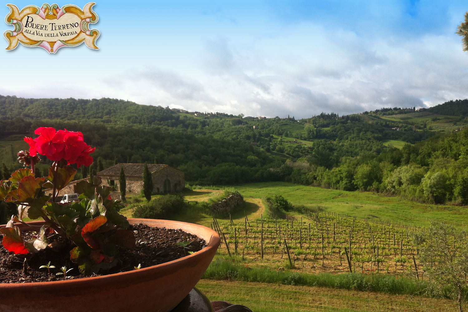 Podere Terreno