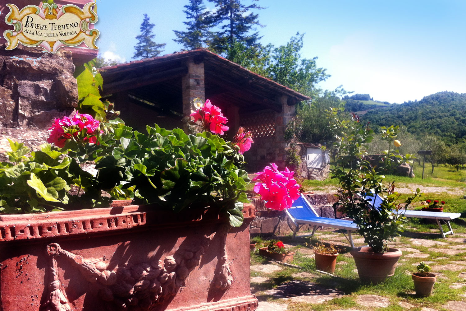 Podere Terreno