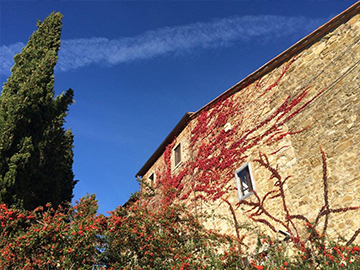 Podere Pruneto
